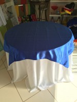 /album/cobre-manchas/cobre-mancha-azul-bic-cetim-jpg1/